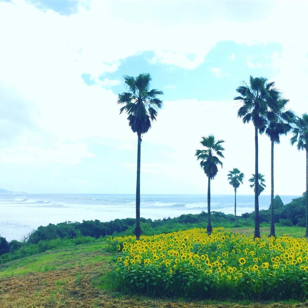 Guesthouse ＆ Beach Cafe Fuego Hyuga Bagian luar foto