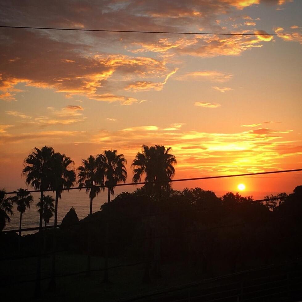Guesthouse ＆ Beach Cafe Fuego Hyuga Bagian luar foto